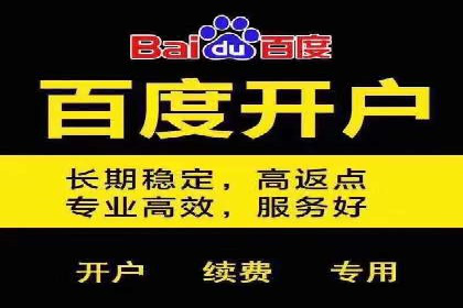 探索百度广告竞价的奥秘：某行业领先企业的投放经验